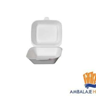 Caserole BIO din carton pentru hambruger