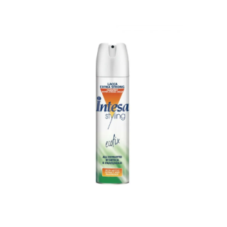 Set Fixativ Intesa 300ml