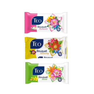 Sapun Solid Teo 70gr