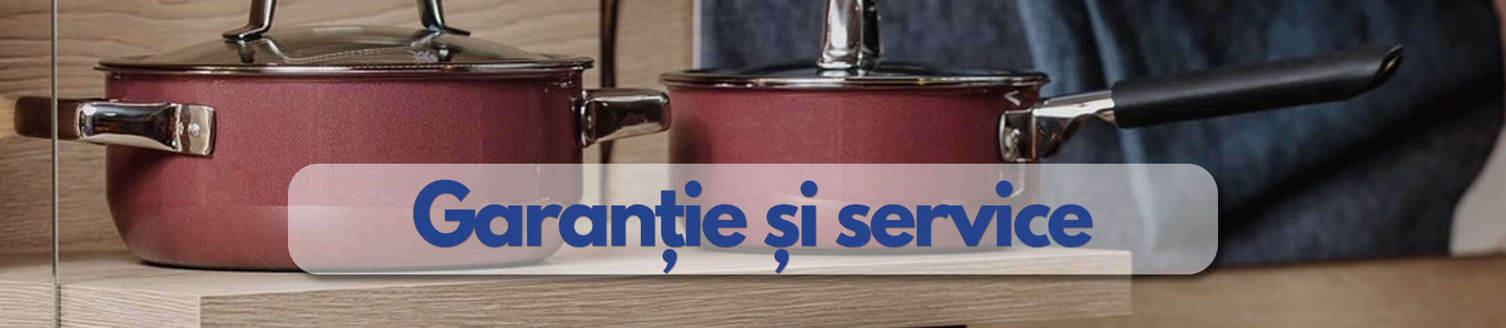 Garantie si service