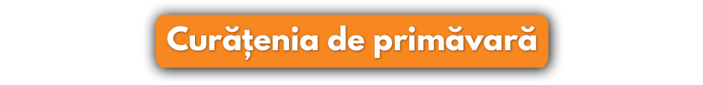 Organizarea Bucătăriei HoReCa la Început de Primăvară ​